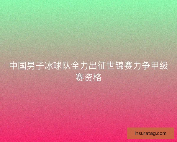 中国男子冰球队全力出征世锦赛力争甲级赛资格